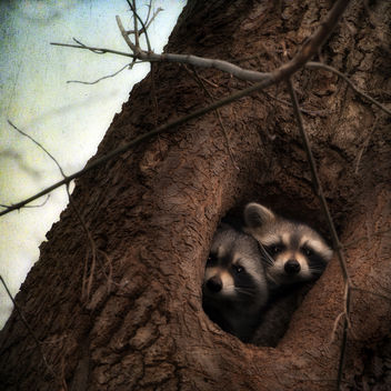 Hi There - Kostenloses image #285739